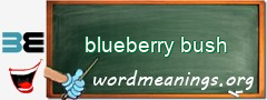 WordMeaning blackboard for blueberry bush